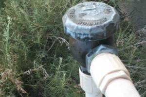 Landscaping Sprinkler Pressure Valve Replace - Landscaping