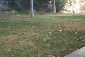 Landscaping Sprinkler Pressure Valve Replace - Landscaping