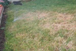 Landscaping Sprinkler Pressure Valve Replace - Landscaping