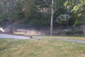 Landscaping Sprinkler Pressure Valve Replace - Landscaping