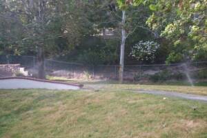 Landscaping Sprinkler Pressure Valve Replace - Landscaping