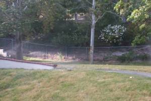 Landscaping Sprinkler Pressure Valve Replace - Landscaping