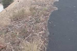 Landscaping Sprinkler System Time Replace - Landscaping