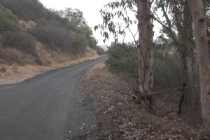 Landscaping Sprinkler System Time Replace - Landscaping