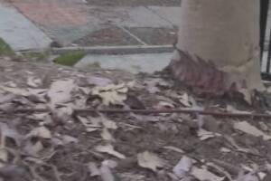 Landscaping Sprinkler System Time Replace - Landscaping