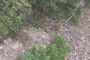 Landscaping Sprinkler System Time Replace - Landscaping