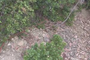 Landscaping Sprinkler System Time Replace - Landscaping