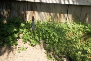 Landscaping Sprinkler Underground Pipe Repair - Landscaping