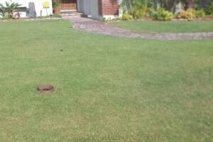 Landscaping Sprinkler Underground Pipe Repair - Landscaping