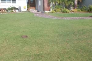 Landscaping Sprinkler Underground Pipe Repair - Landscaping
