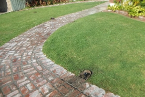 Landscaping Sprinkler Underground Pipe Repair - Landscaping