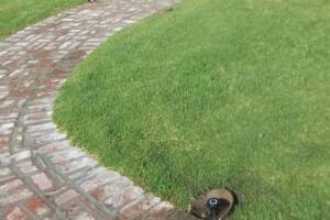 Landscaping Sprinkler Underground Pipe Repair - Landscaping
