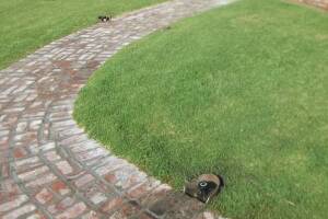 Landscaping Sprinkler Underground Pipe Repair - Landscaping