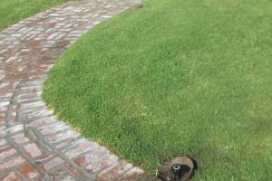 Landscaping Sprinkler Underground Pipe Repair - Landscaping