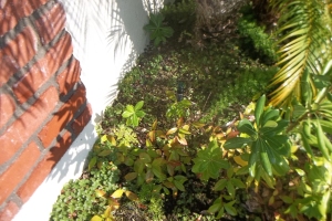 Landscaping Sprinkler Underground Pipe Repair - Landscaping