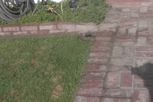Landscaping Sprinkler Underground Pipe Repair - Landscaping