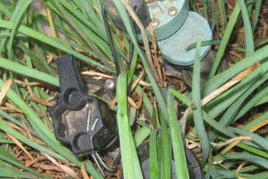 Landscaping Sprinkler Wiring Timer Replace - Landscaping