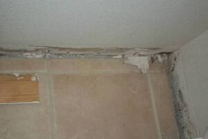 Painting Drywall Baseboard Plaster Repair - Painting