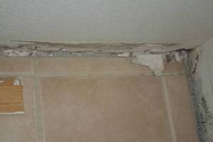 Painting Drywall Baseboard Plaster Repair - Painting