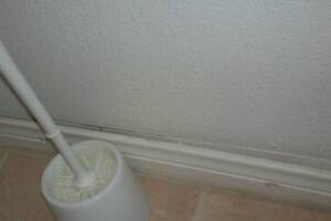 Painting Drywall Baseboard Plaster Repair - Painting
