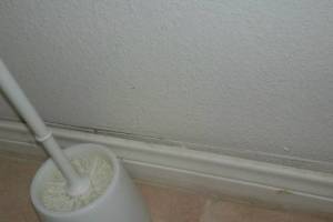 Painting Drywall Baseboard Plaster Repair - Painting