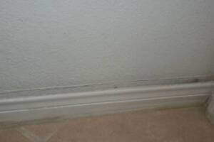 Painting Drywall Baseboard Plaster Repair - Painting