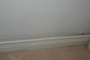 Painting Drywall Baseboard Plaster Repair - Painting