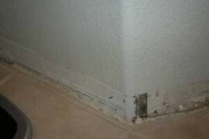 Painting Drywall Baseboard Plaster Repair - Painting
