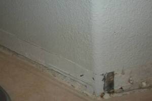 Painting Drywall Baseboard Plaster Repair - Painting
