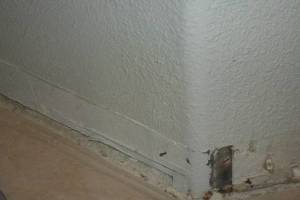 Painting Drywall Baseboard Plaster Repair - Painting