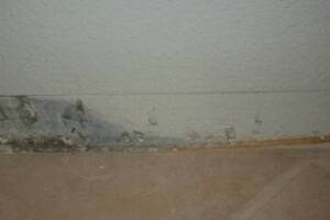 Painting Drywall Baseboard Plaster Repair - Painting
