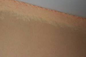 Painting Drywall Ceiling Livingroom Repair - Painting