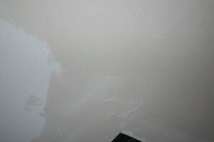 Painting Drywall Ceiling Livingroom Repair - Painting