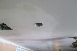 Painting Drywall Ceiling Livingroom Repair - Painting