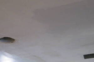 Painting Drywall Ceiling Livingroom Repair - Painting