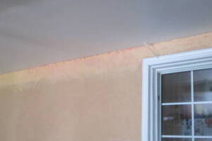 Painting Drywall Ceiling Livingroom Repair - Painting