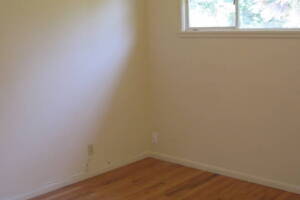 Painting Drywall Fire Damage Repairs - Painting