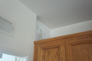 Painting Drywall Plumbing Patching Repairs - Painting
