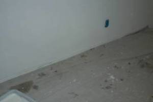 Painting Drywall Plumbing Patching Repairs - Painting
