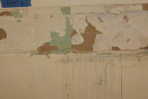 Painting Drywall Repair Patch Bathroom - Painting