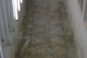 Painting Drywall Retail Store Repairs - Painting