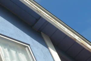 Painting Paint Exterior Home Color - Painting