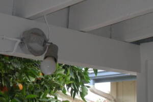 Painting Paint Exterior Home Repairs - Painting