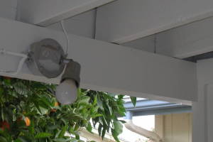 Painting Paint Exterior Home Repairs - Painting