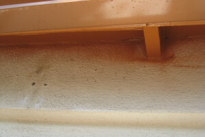 Painting Paint Exterior Whole Home - Painting