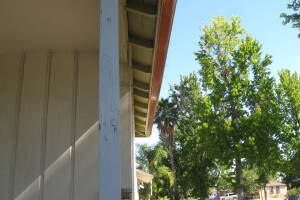 Painting Paint Exterior Whole Home - Painting