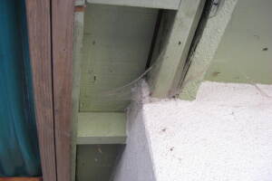 Painting Paint Exterior Whole Home - Painting