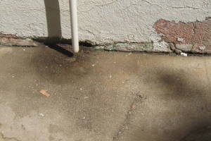 Painting Paint Exterior Whole Home - Painting
