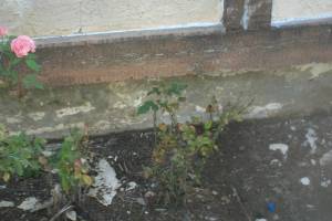 Painting Paint Fresh Coat Home - Painting