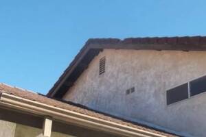 Painting Paint Fresh Coat Home - Painting